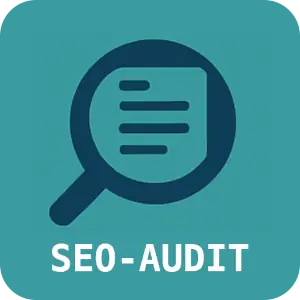 Seo Audit vom SEO-Experten